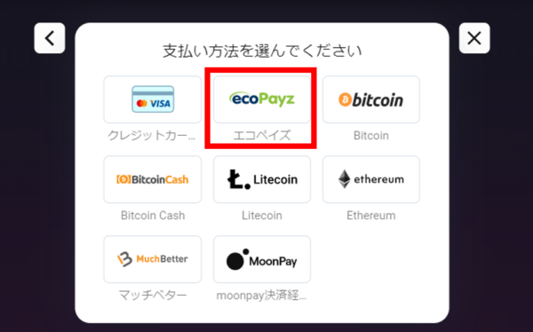 ビットスターズ 入金方法