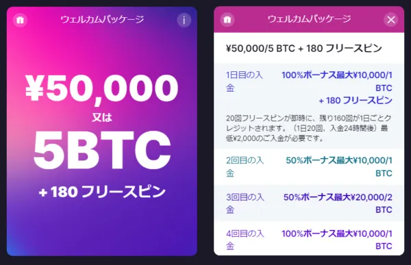 ビットスターズ ウェルカムパッケージ詳細